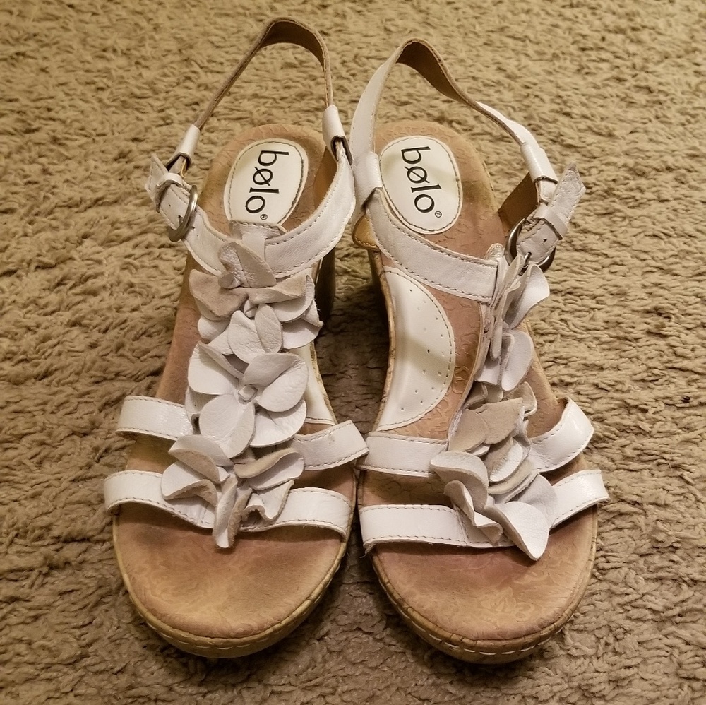 Bolo wedges
